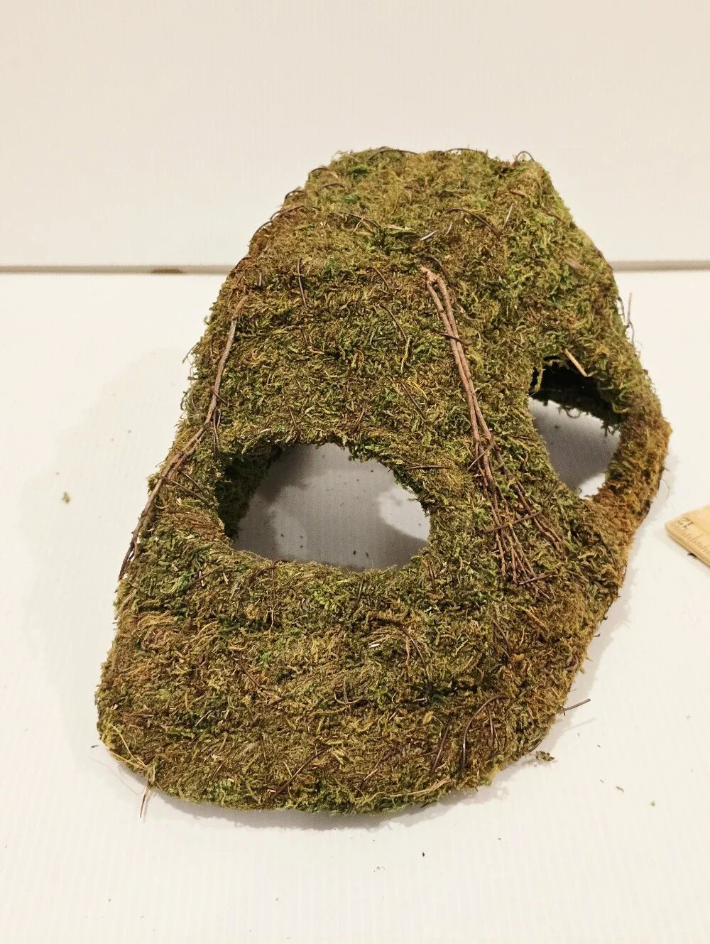 Galapagos Sapa Corner Hide Terrarium Hideaway